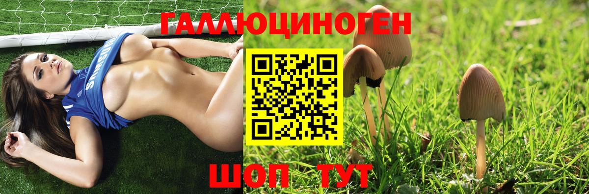 Галлюциногенные грибы Magic Shrooms Алексин