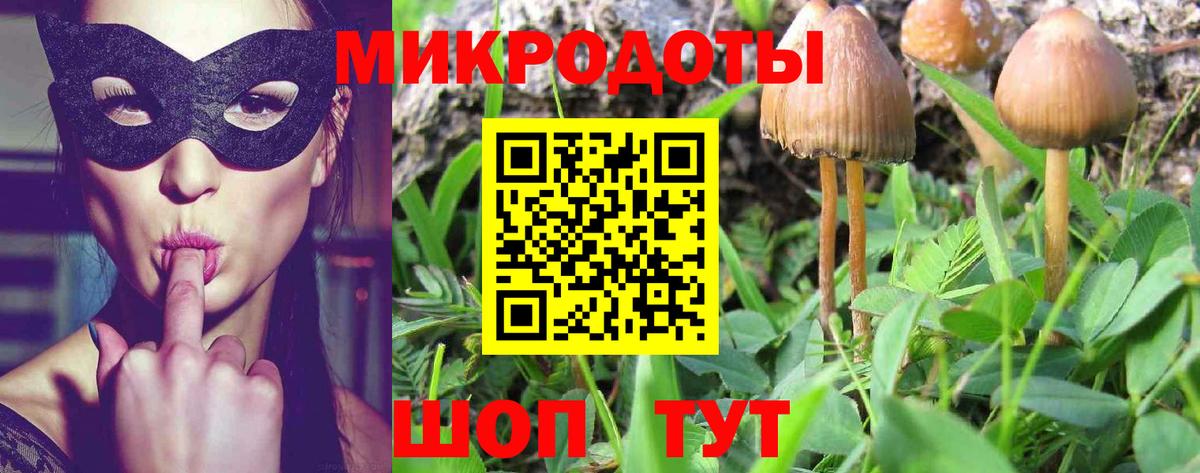 купить   Вход с VPN  Алексин  Галлюциногенные грибы ЛСД  Псилоцибиновые грибы Magic Shrooms 